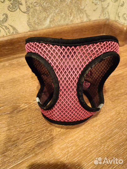 Шлейка для маленькой собаки Triol