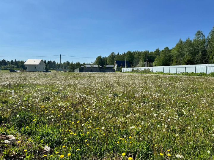 Участок 8 сот. (СНТ, ДНП)