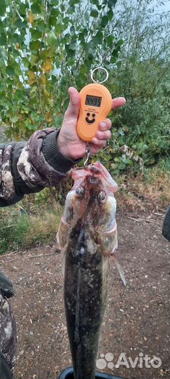 Рыбалка на Каме с гидом