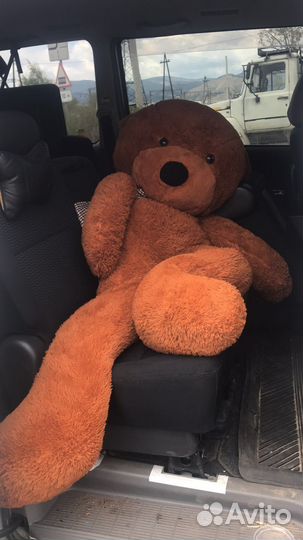 Плюшевый медведь