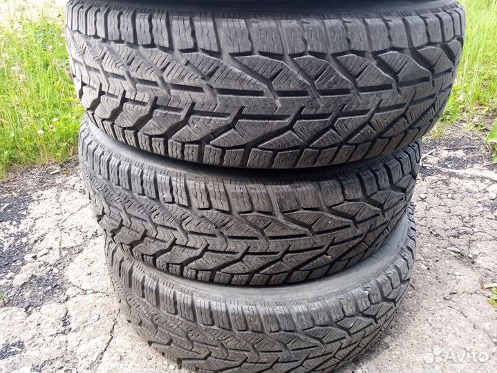 Tigar Winter 215/60 R17 96H