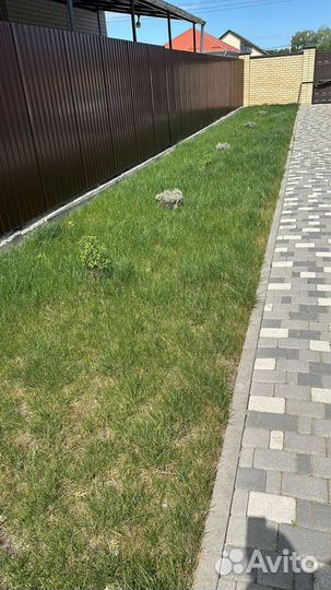 Покос травы триммером