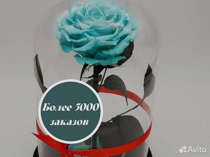 Роза в колбе. Стоит до 8 лет