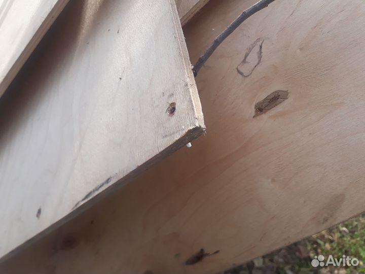 Фанера 10 мм