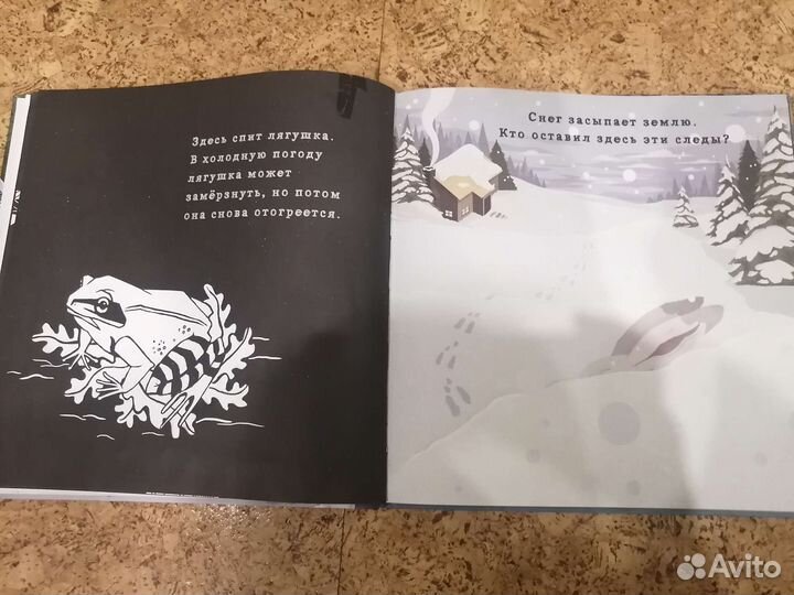 Книга Что скрывает зима