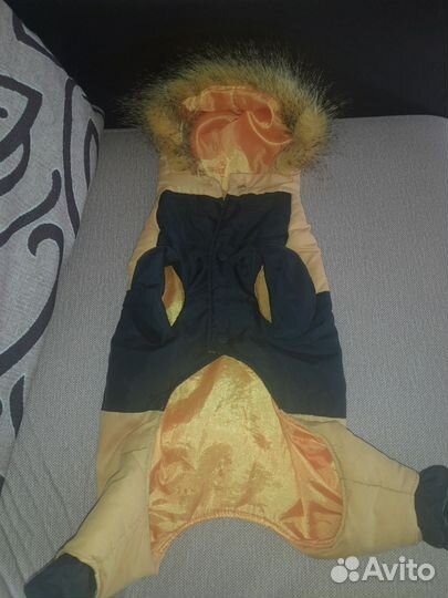 Костюм для маленькой собачки