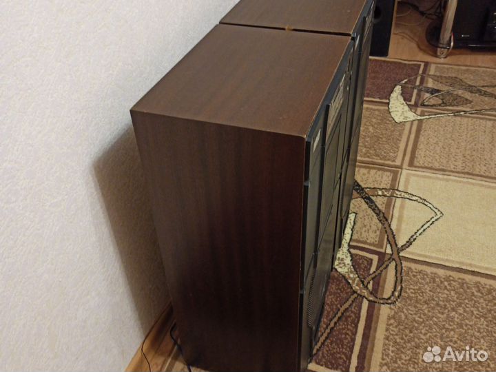 Акустические колонки Радиотехника S90B