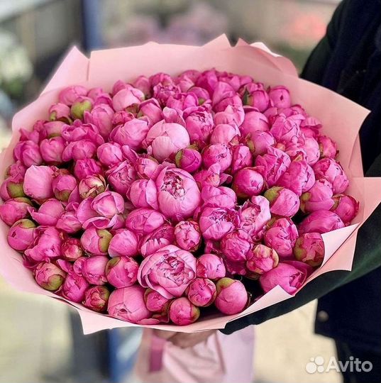 Пионы Букет пионов