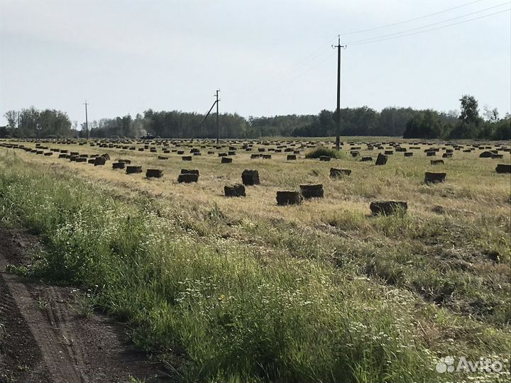 Сено., Тюки. Рулоны Доставка