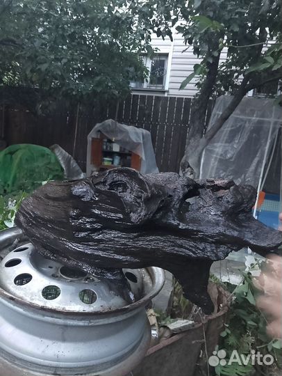 Коряга в аквариум большая