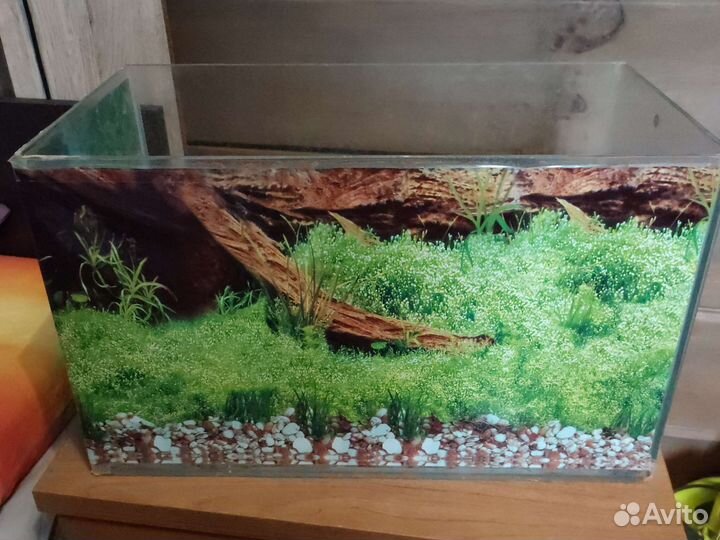 Аквариум 20л