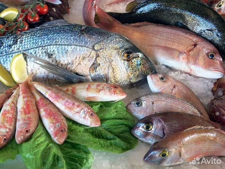 Рыбный магазин как готовый бизнес