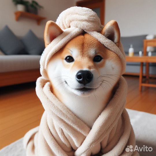 Сиба для вязки мальчик