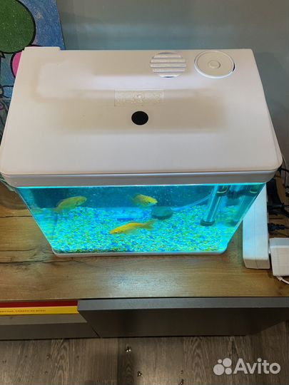 Аквариум