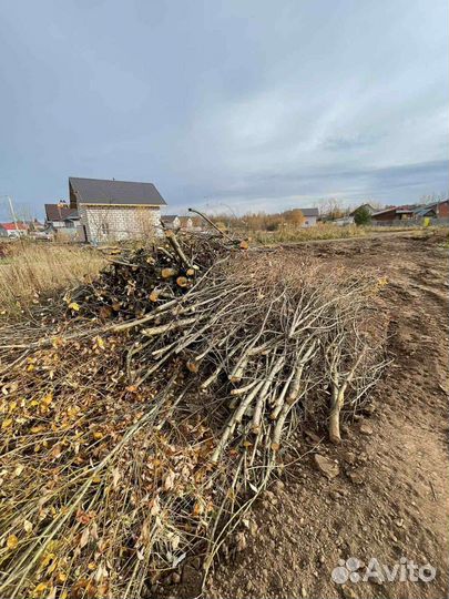 Расчистка участков планировка