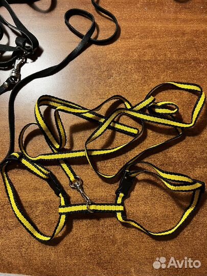 Шлейка для кошки