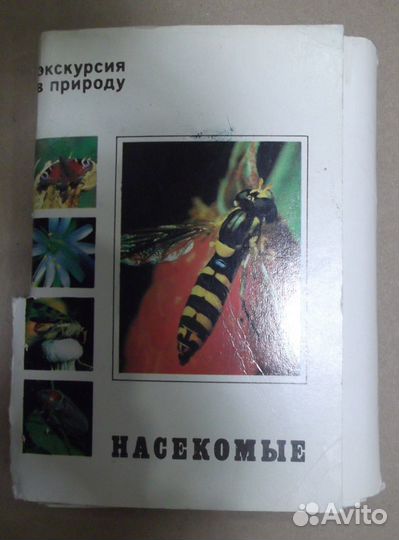 Набор открыток