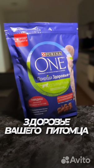 Создание контента