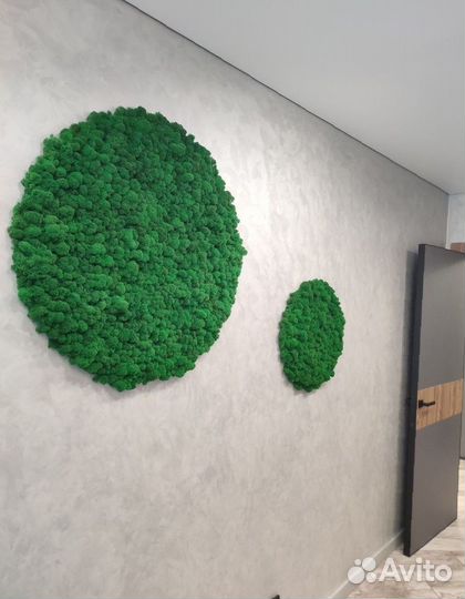 Панно. Декор. Стабилизированный мох