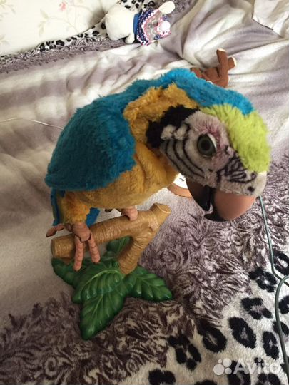 Музыкальная обезьяна