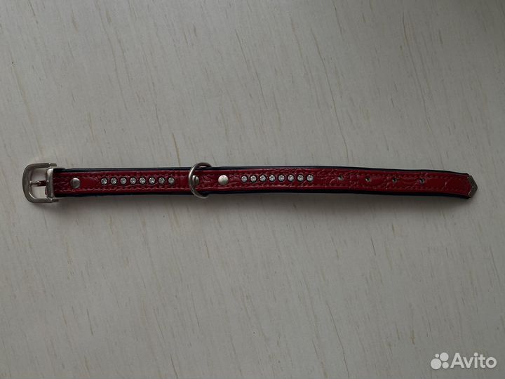 Ошейник для маленьких собак и кошек