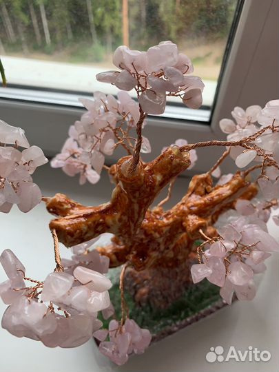 Денежное дерево, розовый кварц, цветущая сакура