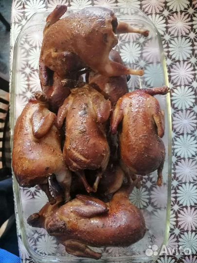Копченое и свежее мясо перепела, под заказ