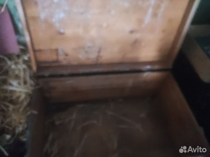 Ящик армейский