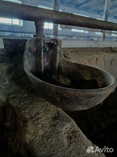 Поилки для крс