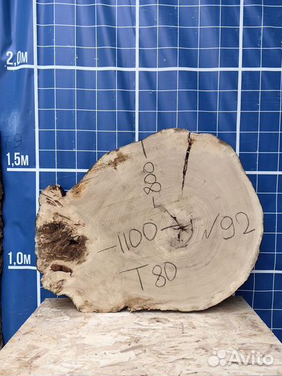 Спил тополя