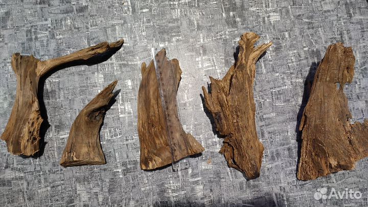 Доставка / Коряги, лиана, корни, листья магнолии