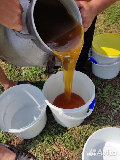 Мёд первой качки с домашней пасеки 2023г