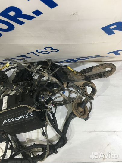 Проводка моторного отсека hyundai solaris 2 1.4 мт