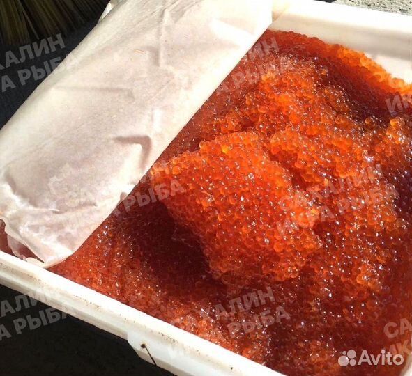 Красная икра горбуши