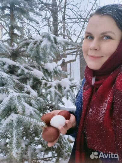 Маран шоколадное яйцо