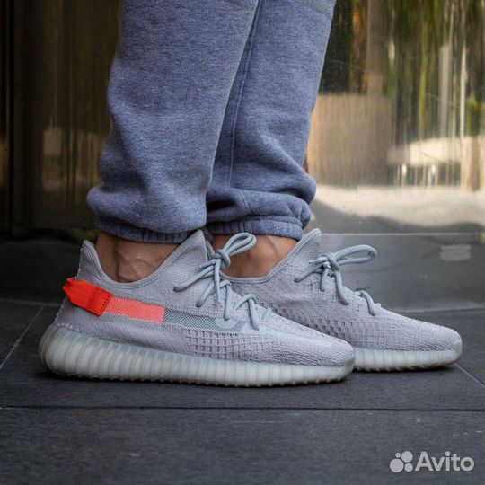 Кроссовки Adidas Yeezy Boost 350 v2 Tail Light