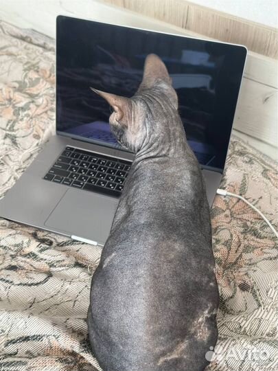 Macbook pro 16 2019 обмен на пк