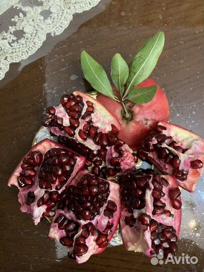 Саженцы граната