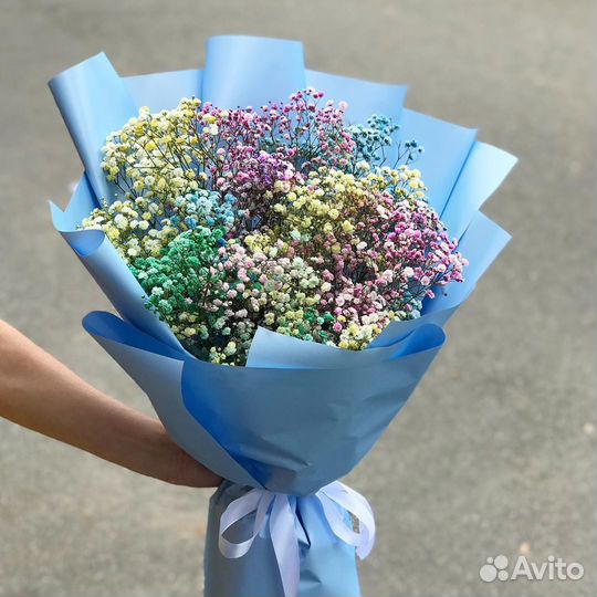 Гипсофила Радужная