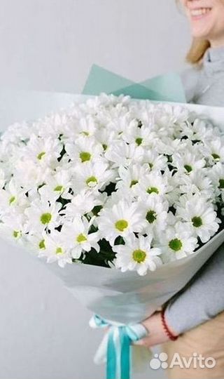 Хризантема Доставка цветов Букеты