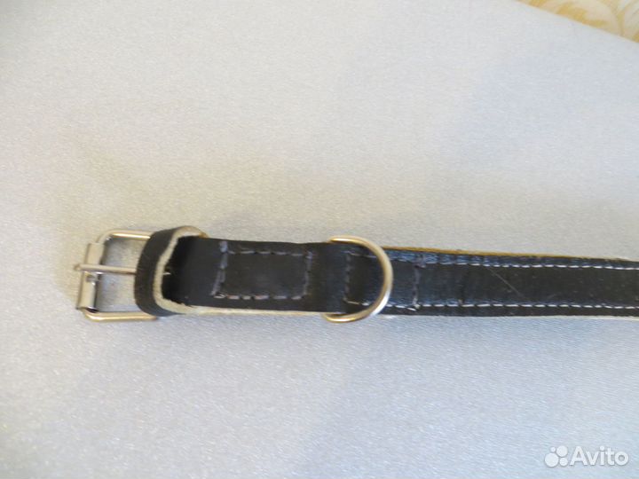 Ошейник для собак