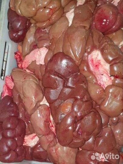 Мясо для собак