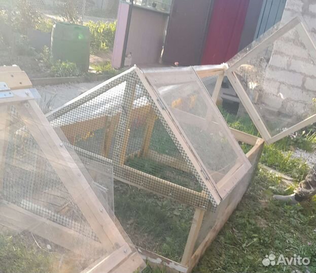 Выгул для птиц молодняка