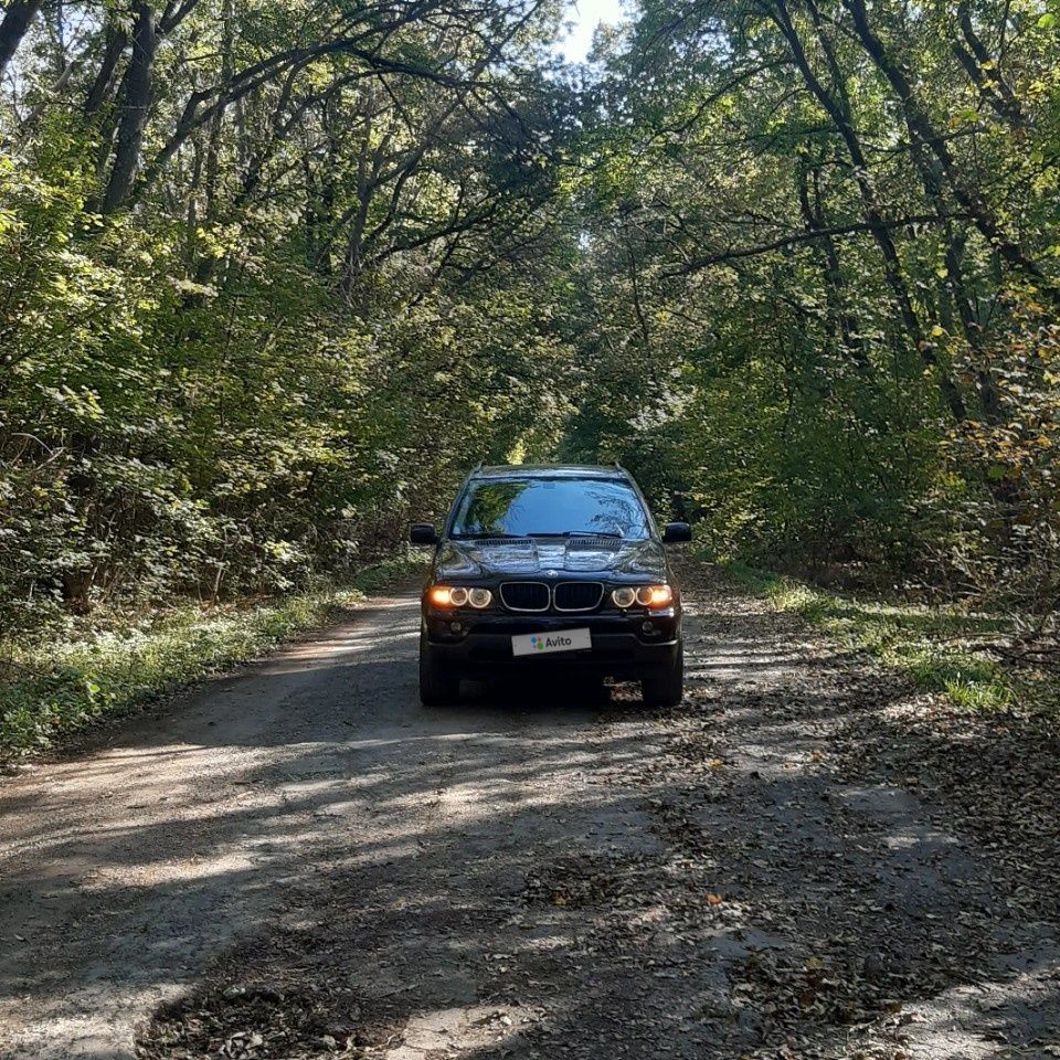 BMW X5: фото владельца