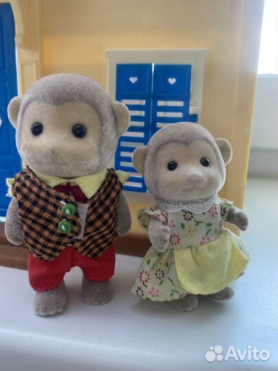 Обезьяны Sylvanias families