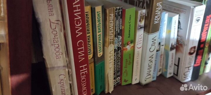 Книги Даниэла Стил, Вильмонт, Рой