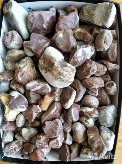 Камни (кремень)