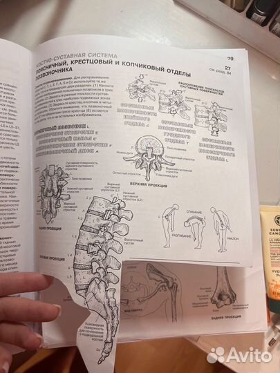Анатомич человека атлас-раскраска