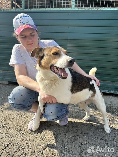 Ласковая девочка из приюта с больным глазиком