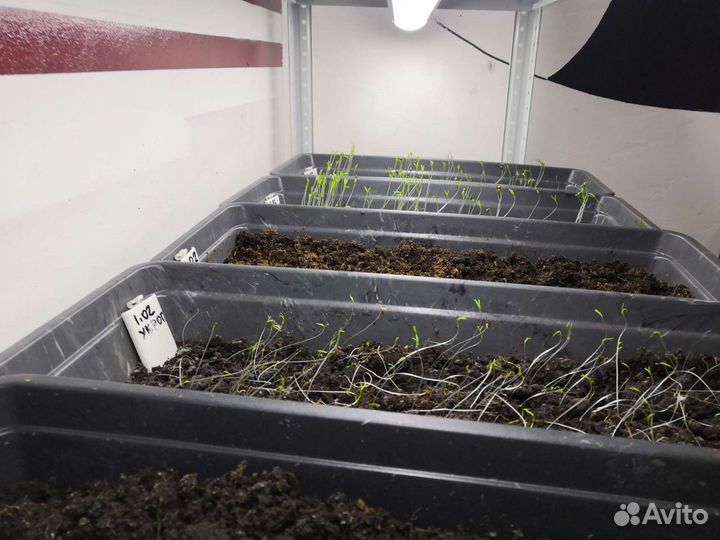 Стеллаж металлический с лотками